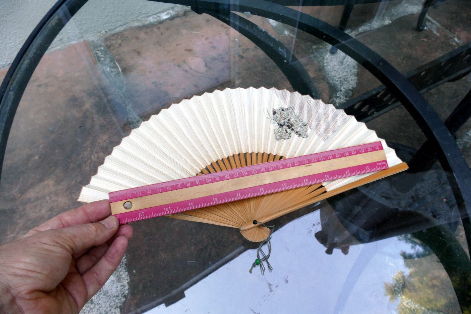 Japanese Hand FOLDING FAN, Bamboo with Cricket hand painted