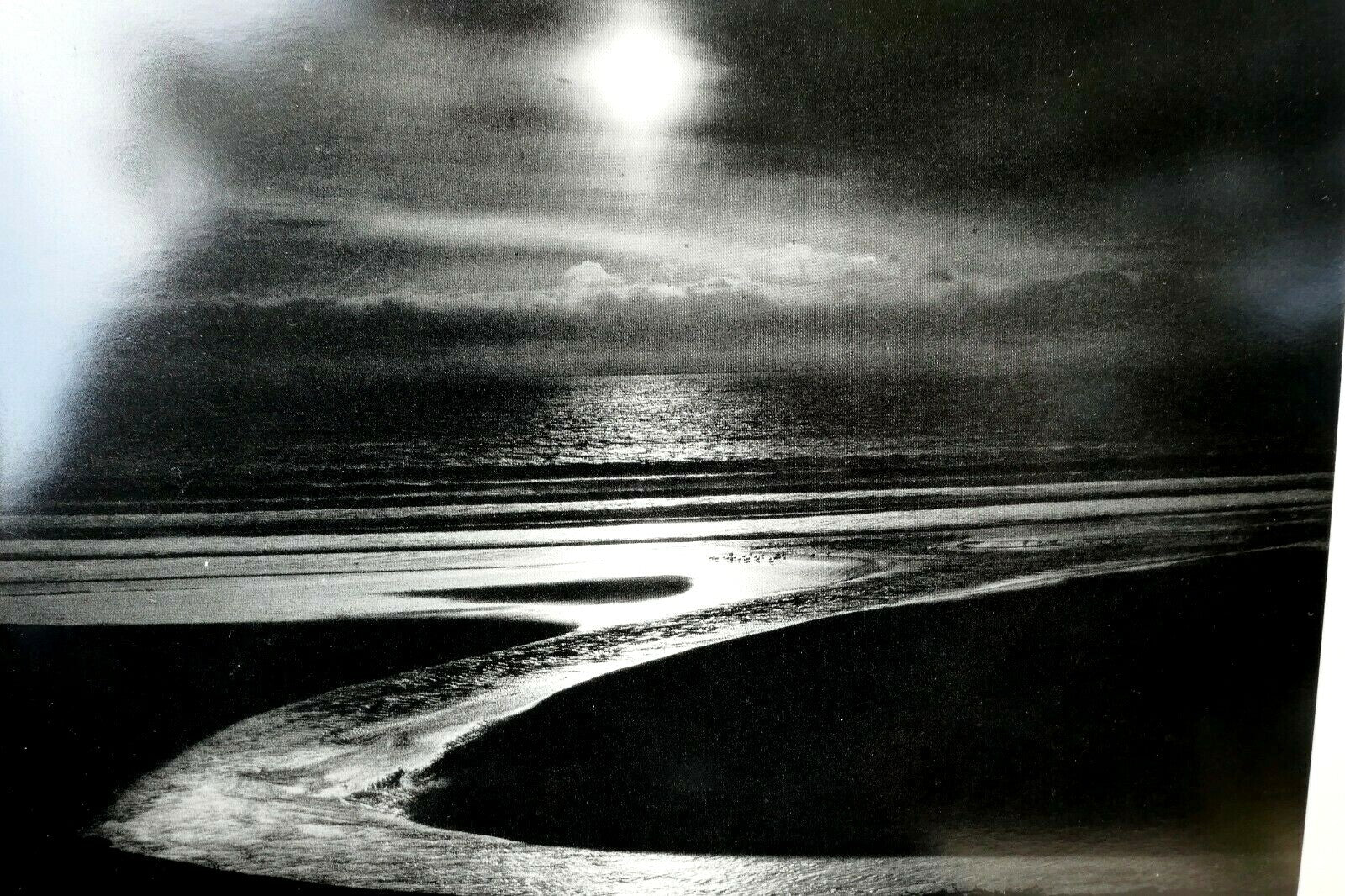 Let there be light 1954 photograph by wynn bullock postcard wb 5