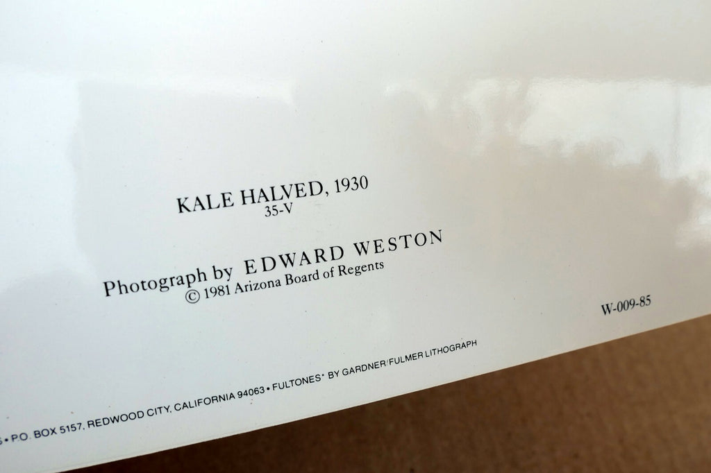 Kale Halved 1930 Photograph by Edward Weston greeting card W-009-85 35-V