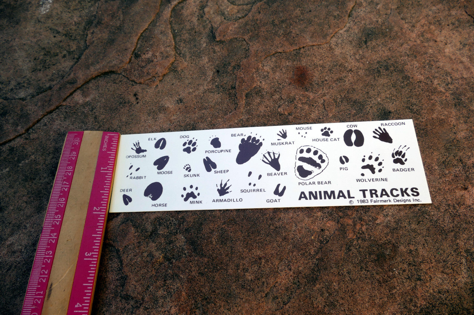 Identifying Animal Tracks Card 1983 Fairmark Designs hunting tracking