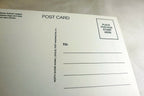 Just a Note Postcard Animal Shelter North Shore League Adopt a Pet Kitten 1980's