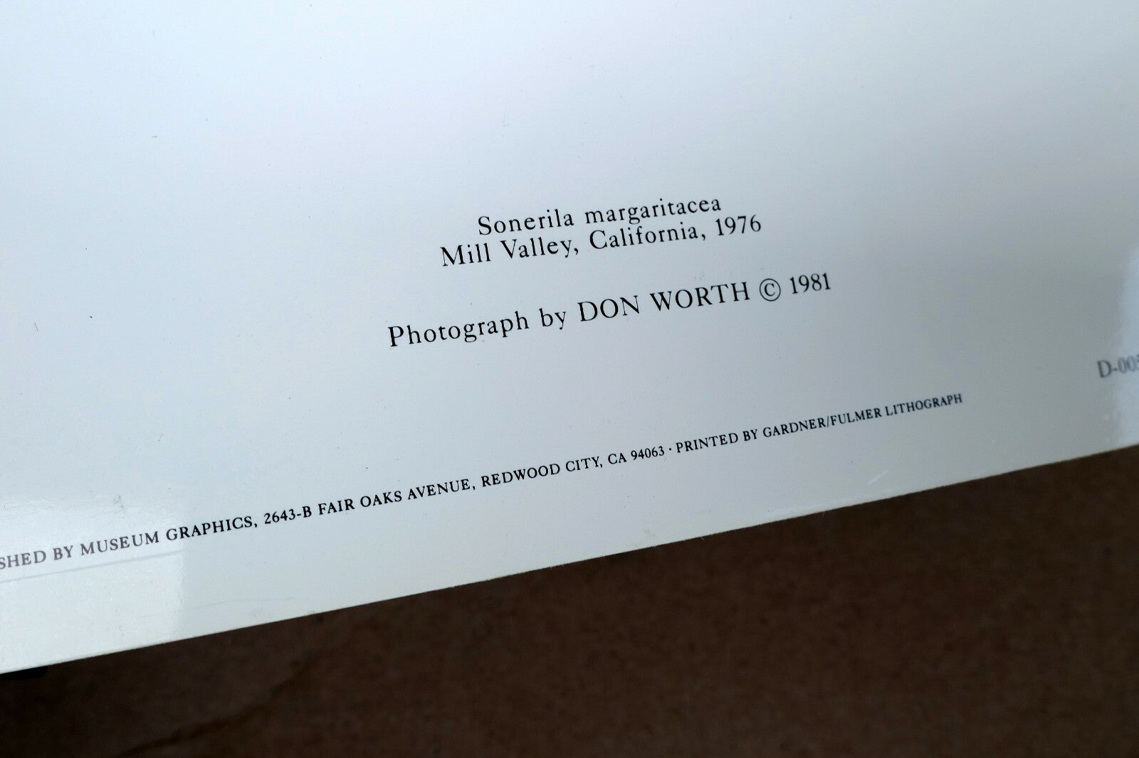 Sonerila Margaritacea 1976 Photograph by Don Worth Greeting Card D-005 floral