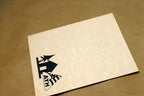 Santa Cruz Hostel Society Postcard unposted Invitation advertisement