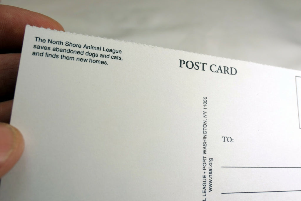 Greeting Postcard Animal Shelter North Shore League Dog Puppy Adopt a Pet! 1980'