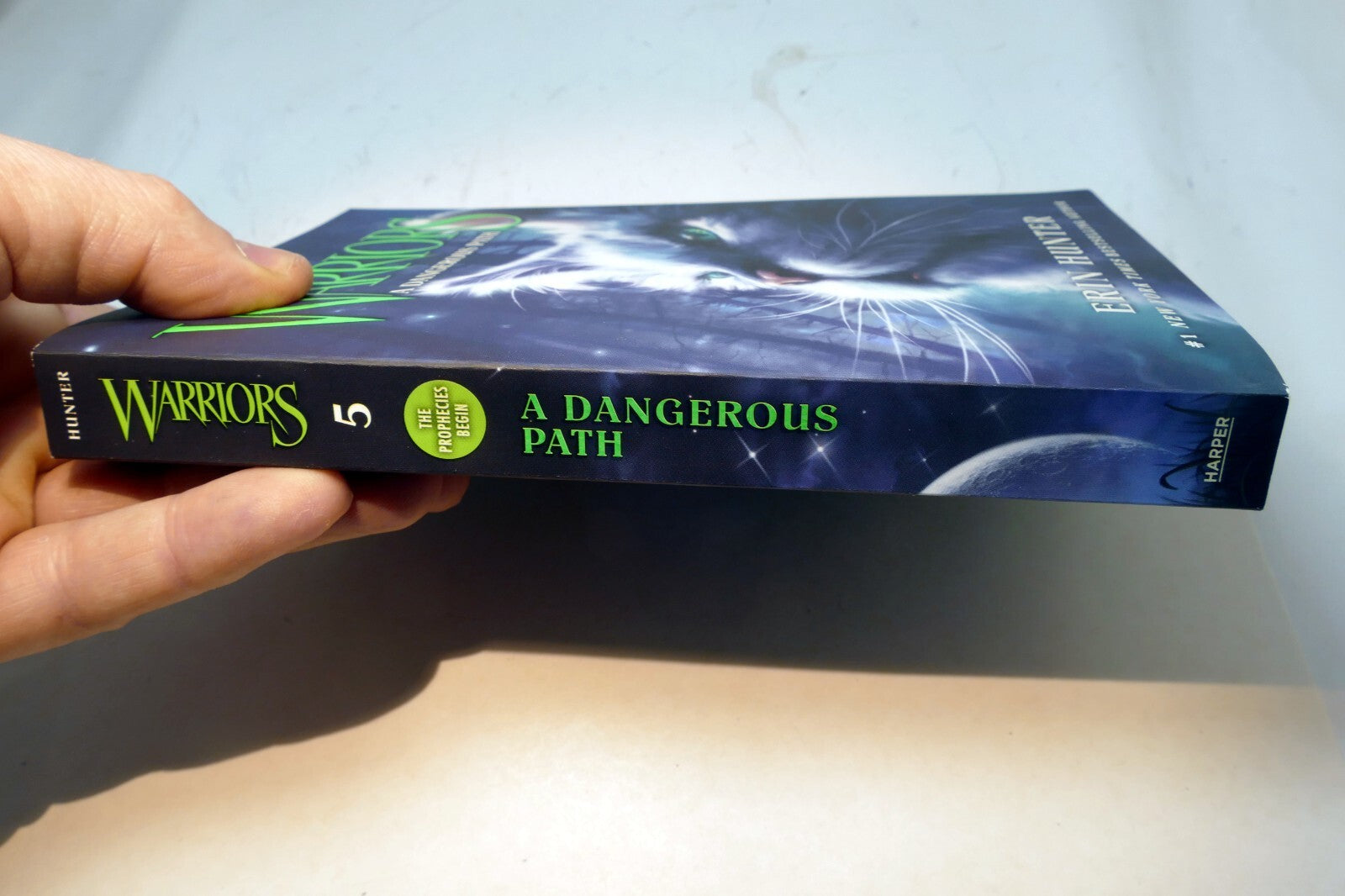 Warriors #5: A Dangerous Path (Warriors: The Prophecies Begin) - Very GOOD