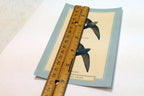Chimney Swift Postcard Bird by David Sibley - unposted , new