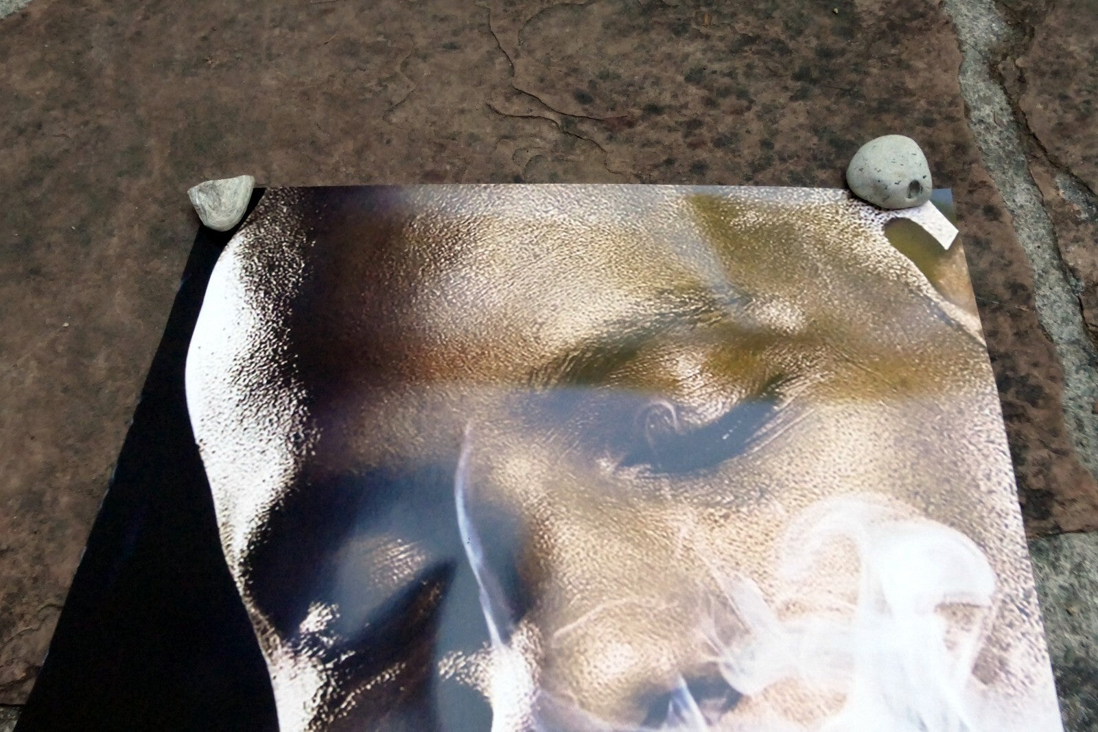 MUSIC RAP/HIP HOP DMX/ EARL SIMMONS 24x36 Poster HOOD 24X36" smoke some trees