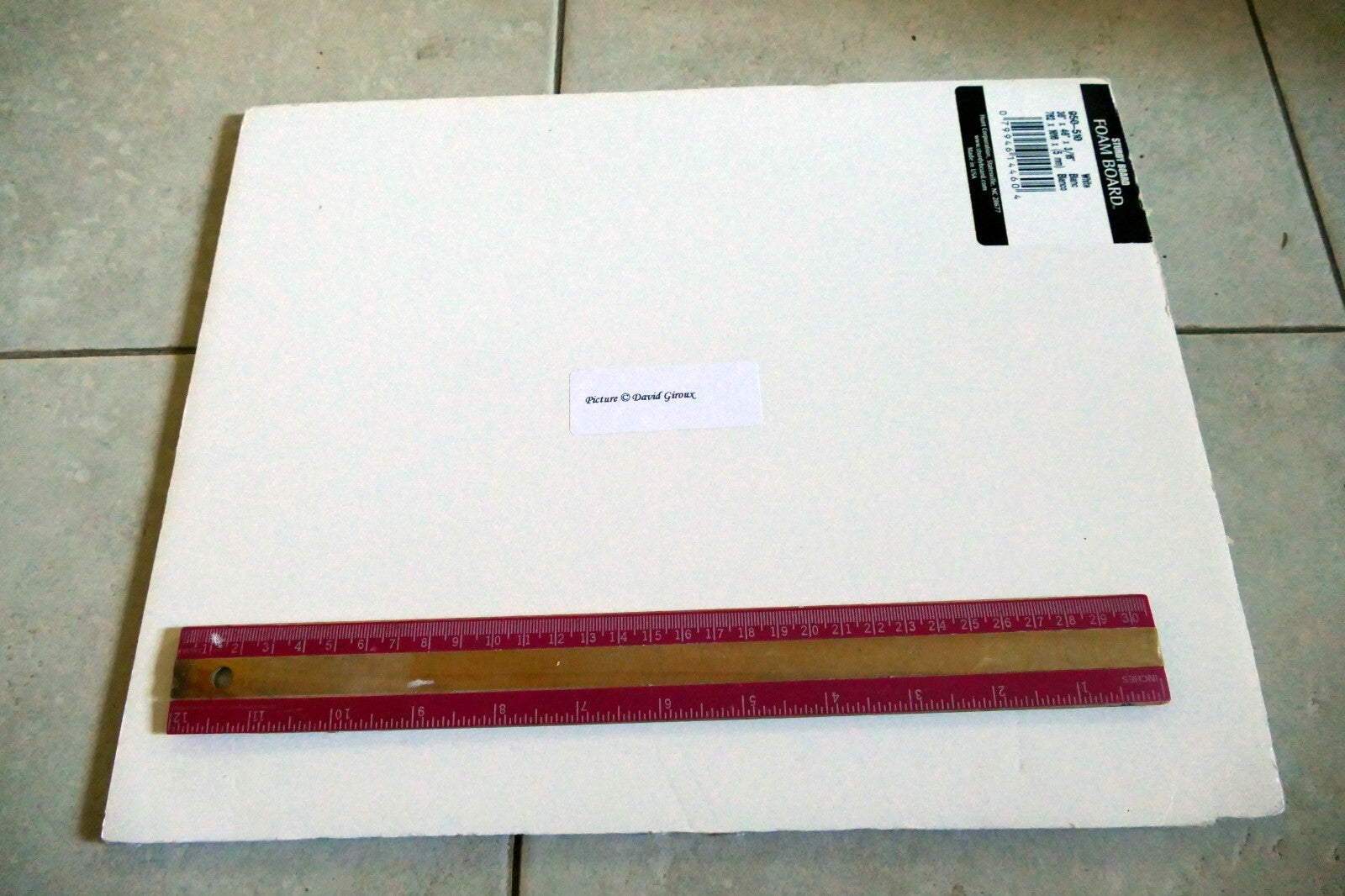 Dave Giroux Nature Picture Photo Print violet flower