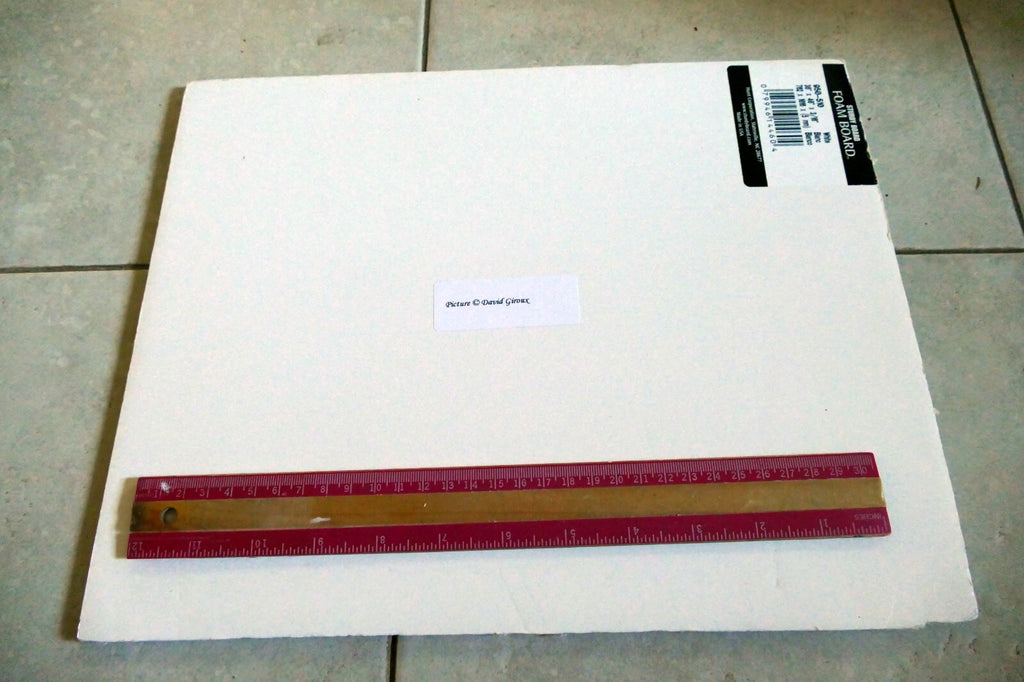 Dave Giroux Nature Picture Photo Print violet flower