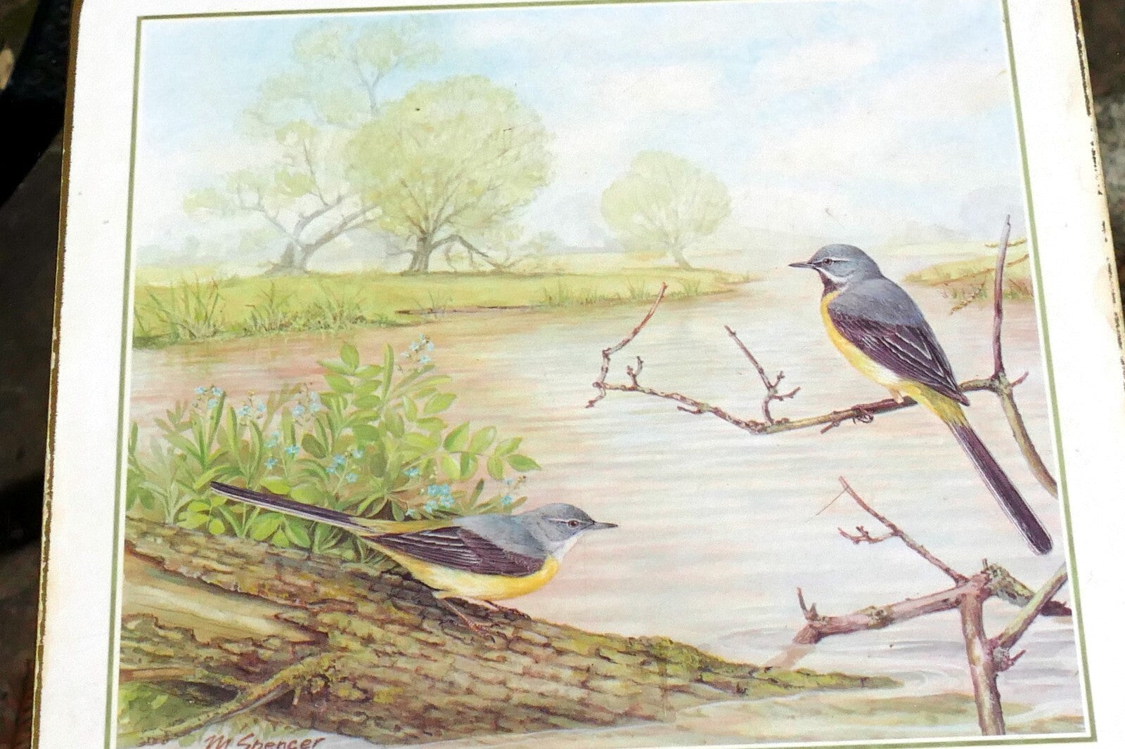 Mark spencer bird mat cork backed coaster 7x9" placemat by m. spencer