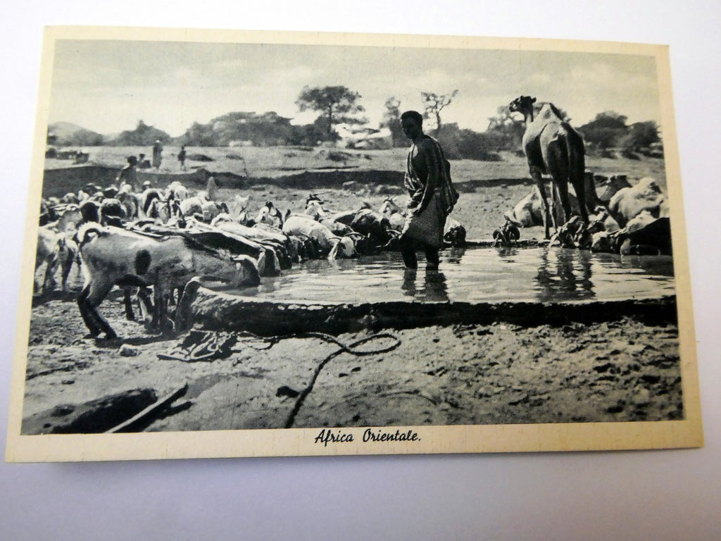 Post Card Cartolina Postale Africa Orientale unused Unposted 1900's