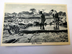 Post Card Cartolina Postale Africa Orientale unused Unposted 1900's