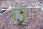 5X7" Acrylic Picture photo frame w music box TUNE: "That's what Friends are for"