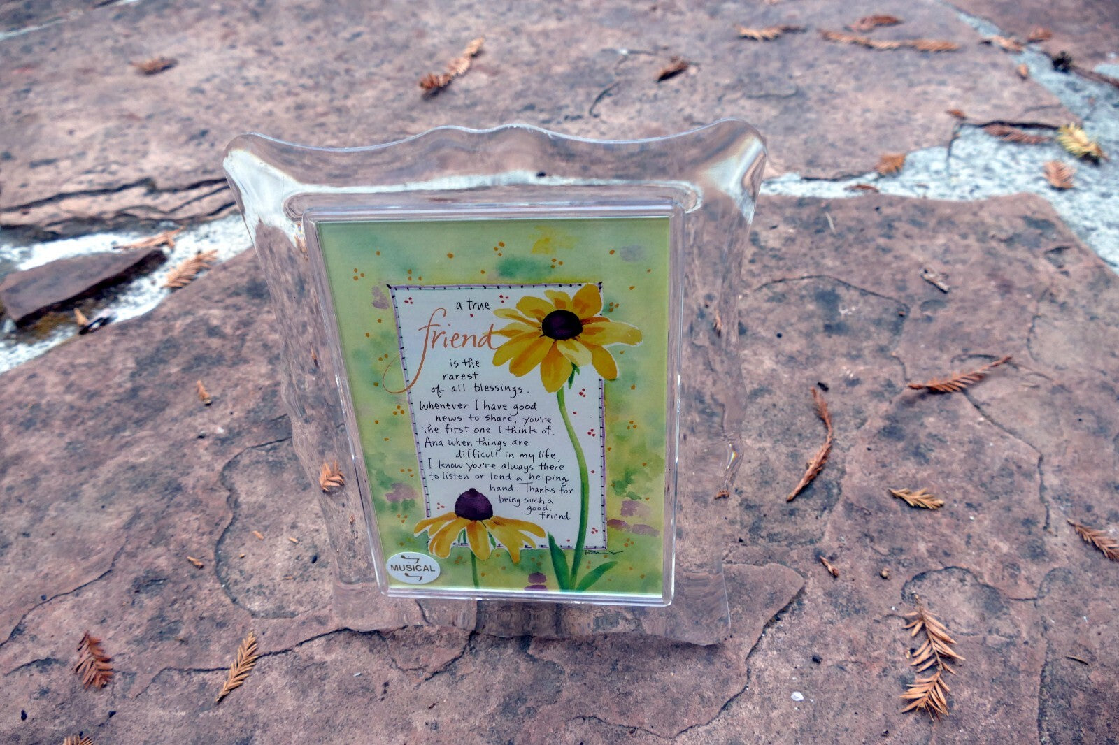 5X7" Acrylic Picture photo frame w music box TUNE: "That's what Friends are for"