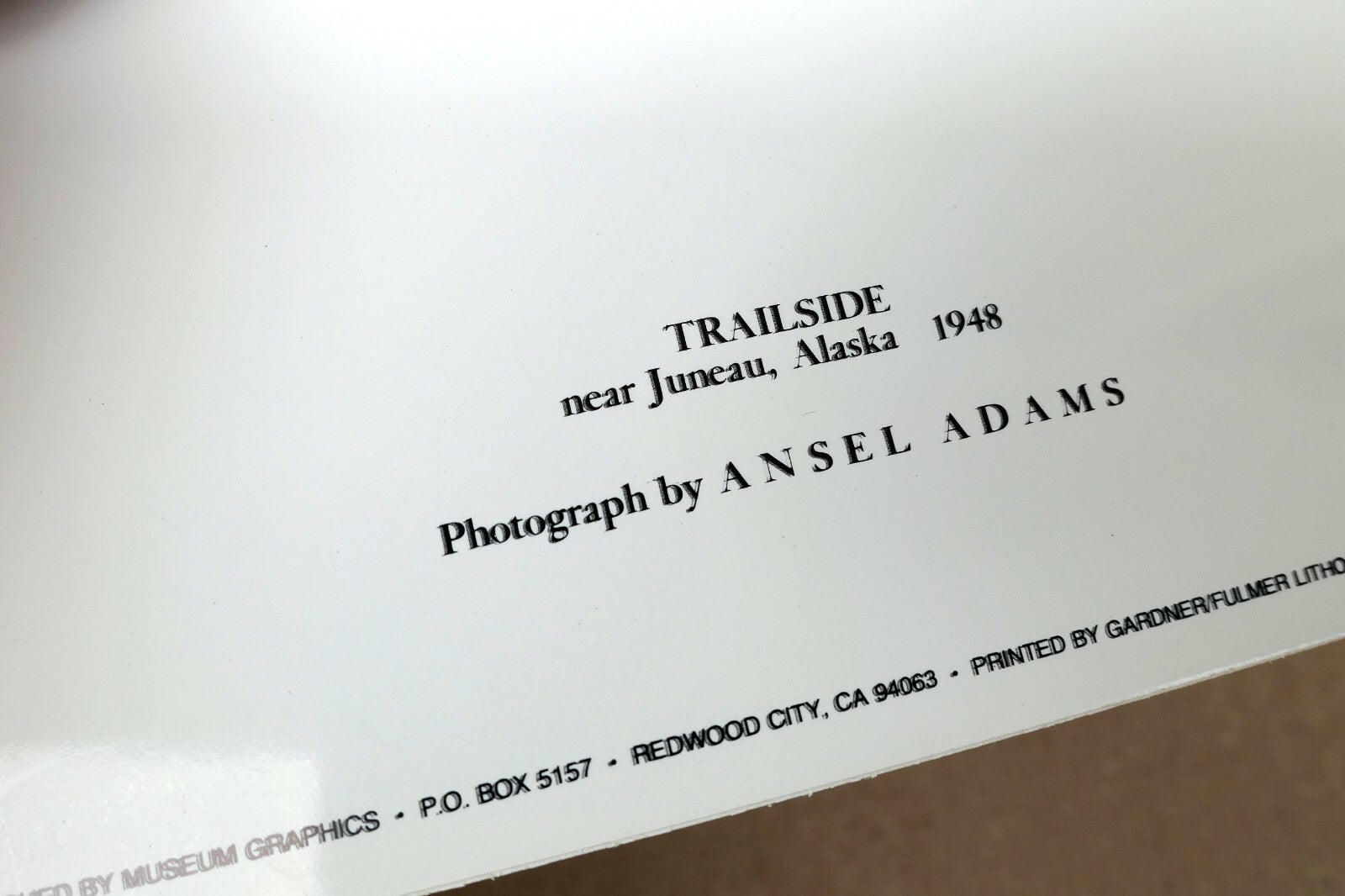 Trailside Juneau Alaska Photograph by Ansel Adams 1948 Greeting Card A-051-95