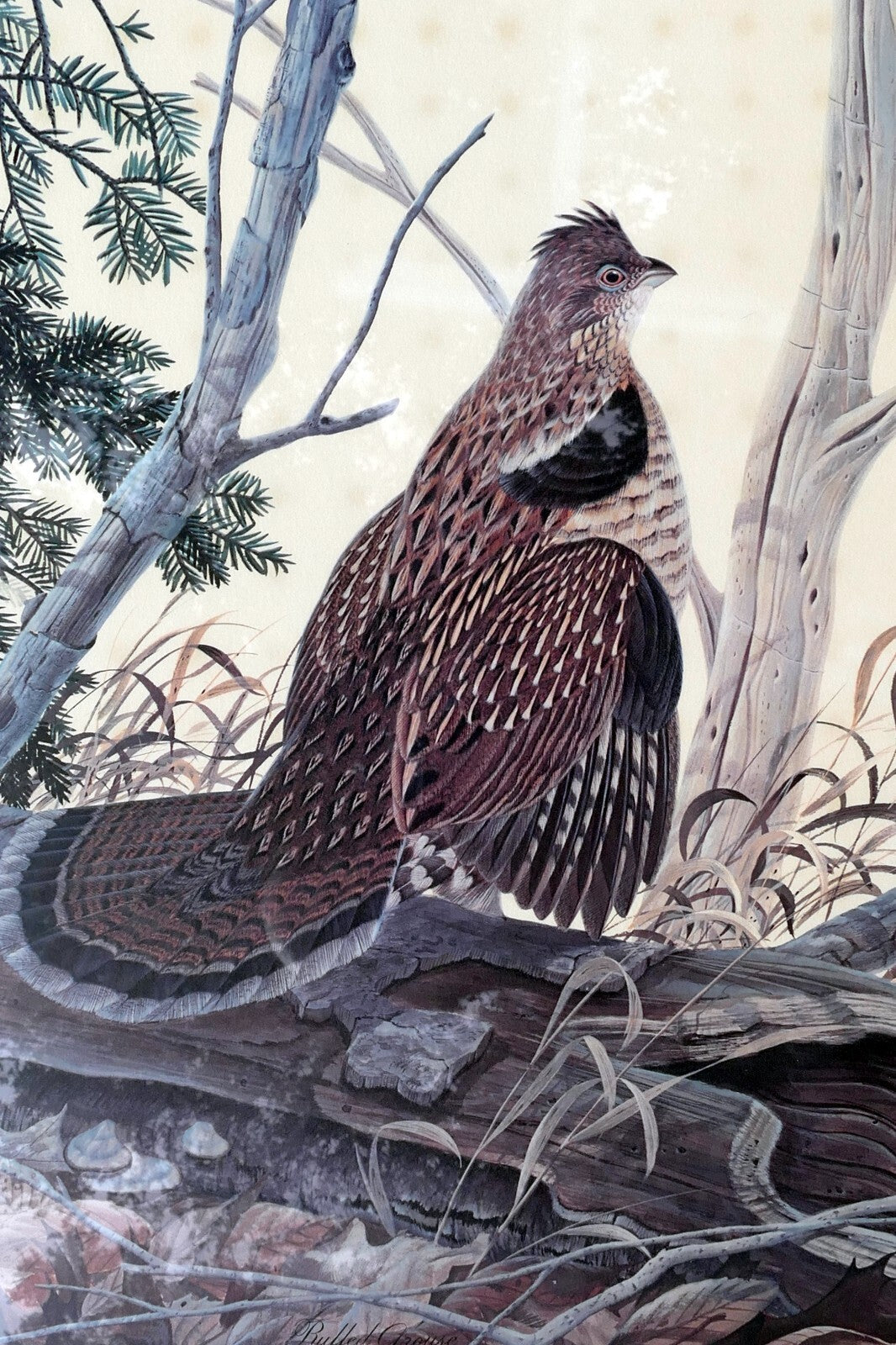 John A Ruthven Signed Numbered Limited Edition Print "Ruffed Grouse" 18X24