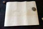President FDR Franklin Roosevelt 100th Anniversary Birthday Poster 1882-1982
