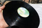 SCARLET  RIVERA - LP - Self Titled - Warner Bros. BS 3060 1979 VG