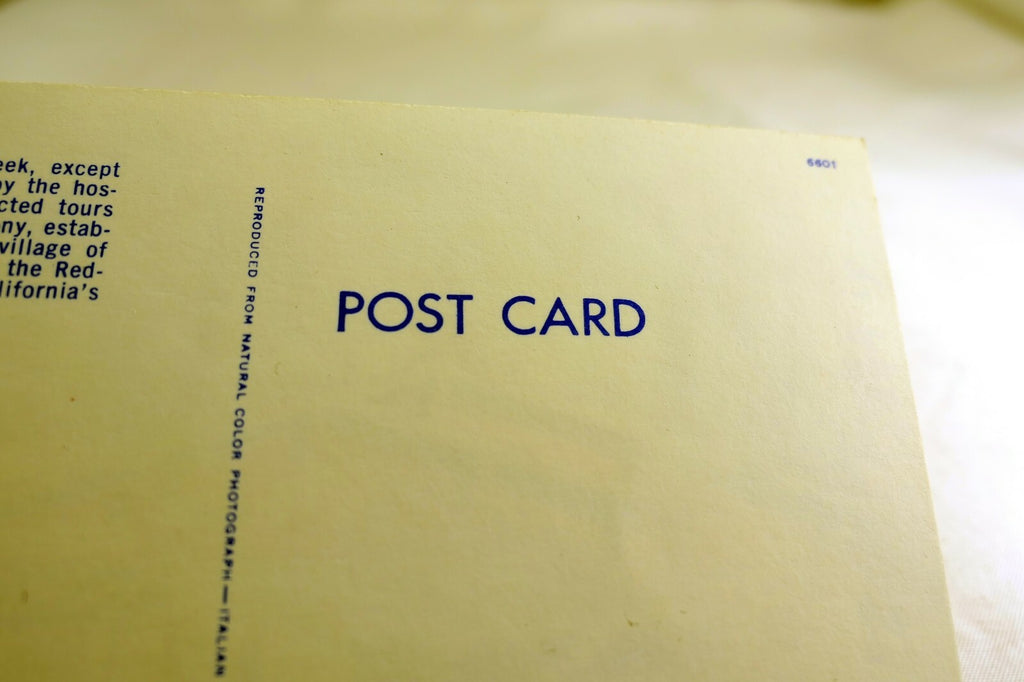 Italian Swiss Colony Wine Tasting Room California USA Postcard 1970's