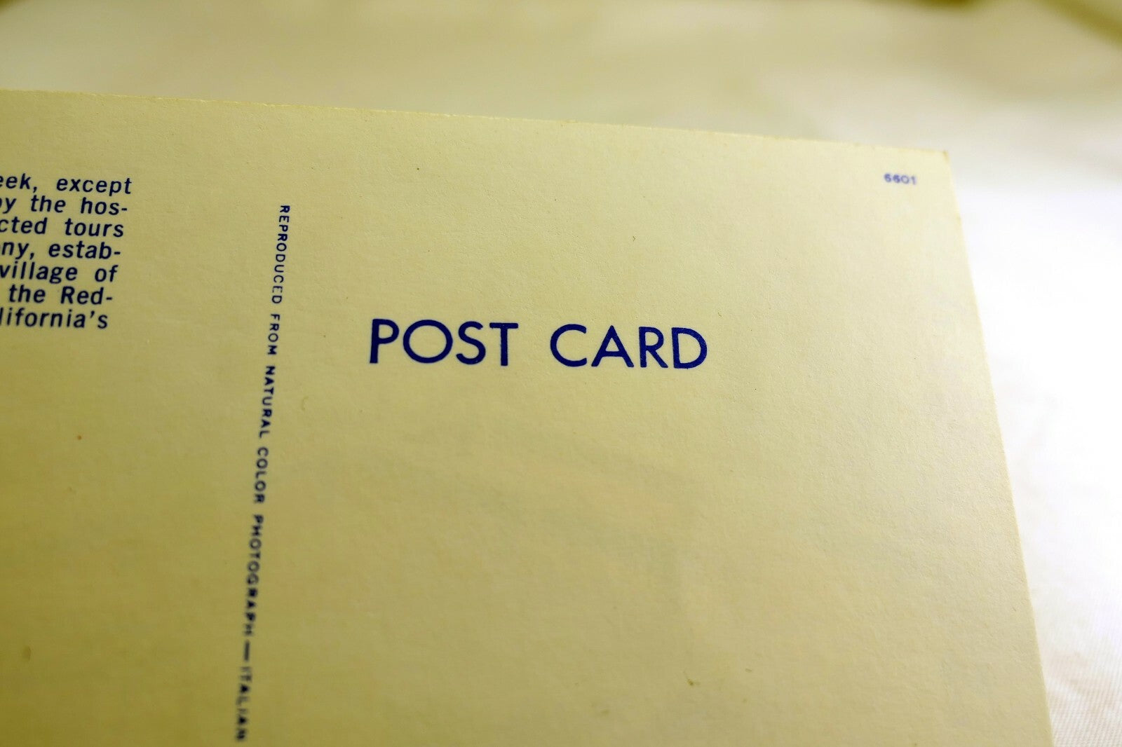 Italian Swiss Colony Wine Tasting Room California USA Postcard 1970's