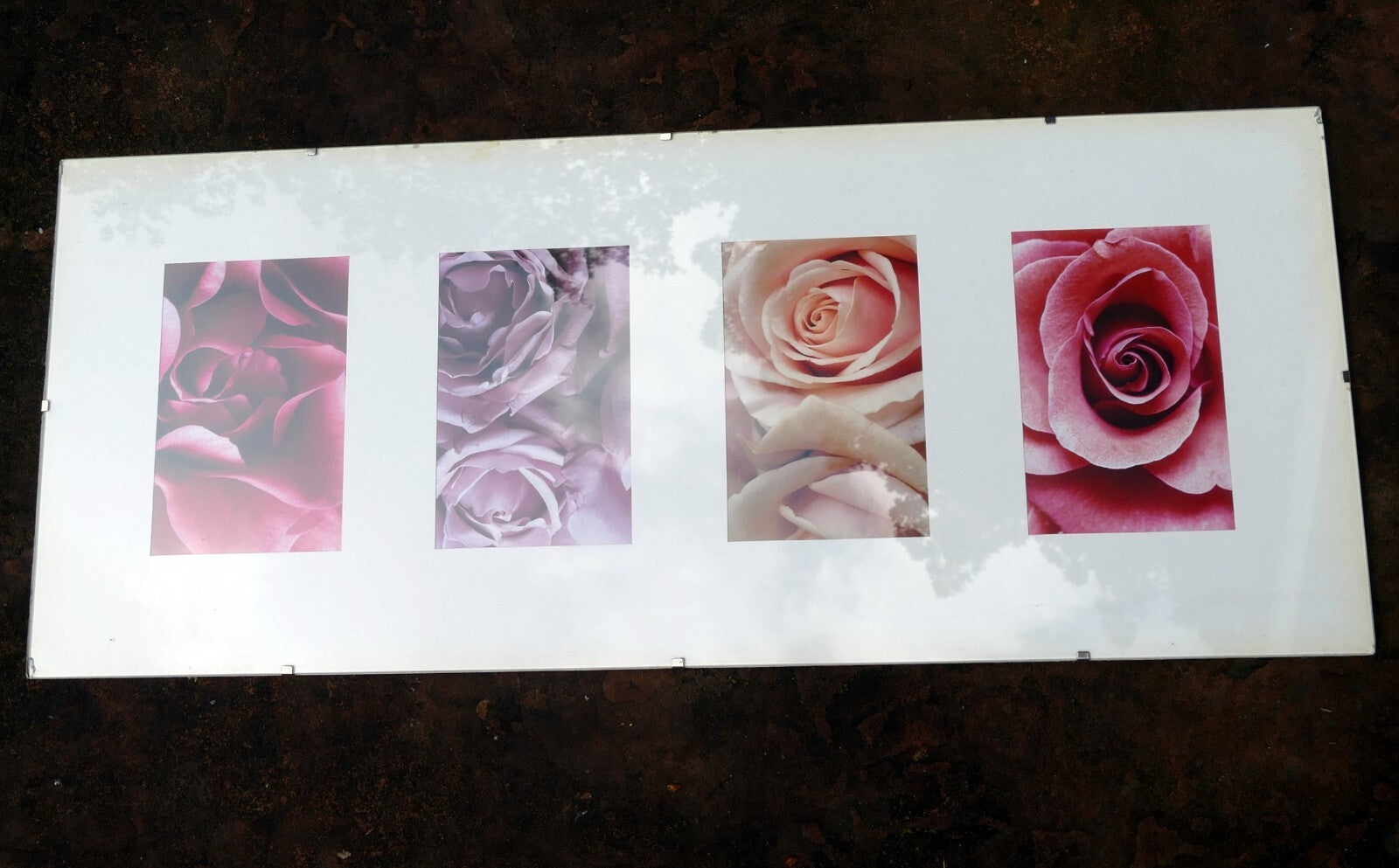 Rose photo art by christian sarramon framed with glass 24x10" large collage