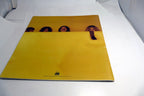 Led Zeppelin  booklet  Inlay from LP 1990 82144  36 pages with fold out poster