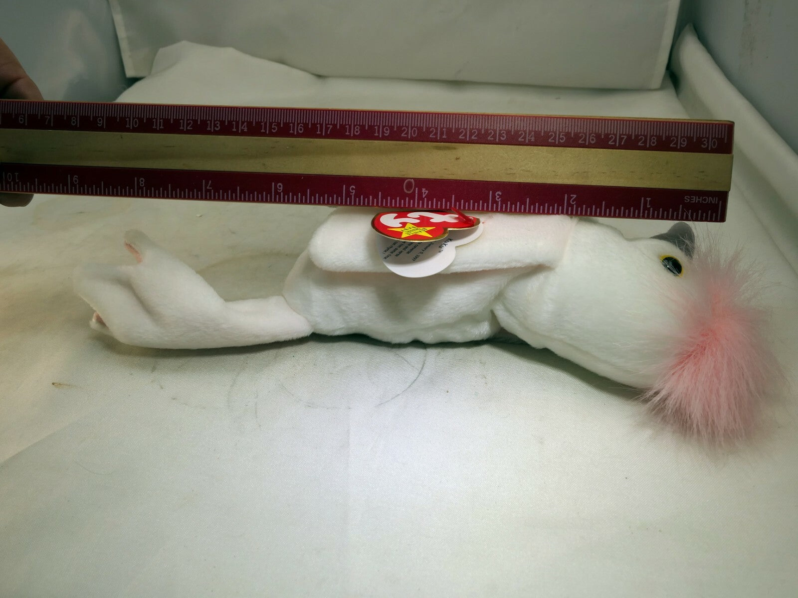 TY Beanie Baby Kuku Rare/Retired 1998 plush toy collection bird white parrot