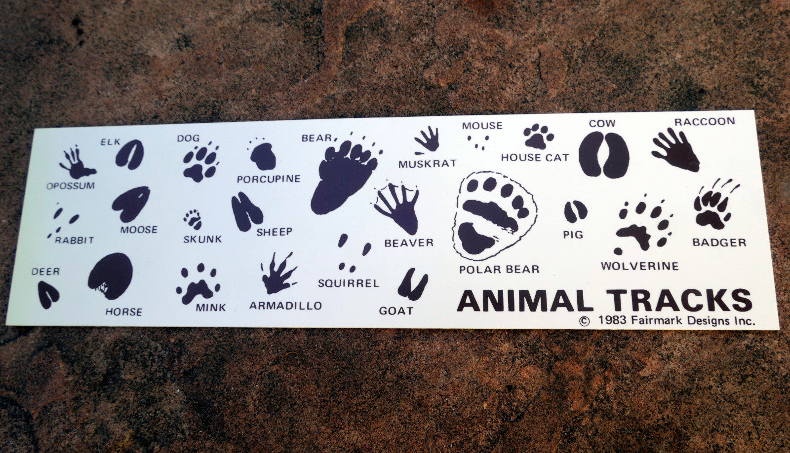 Identifying animal tracks card 1983 fairmark designs hunting tracking