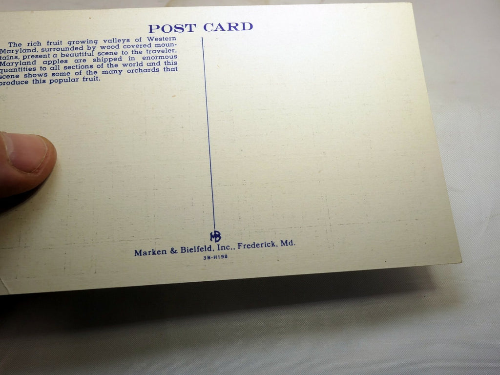 Post Card 1940's Peaceful Valley Route US 40 in Western Maryland unposted