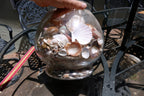 15 LBS Huge lot of Ocean Shell Seashell with glass bowl California San Francisco