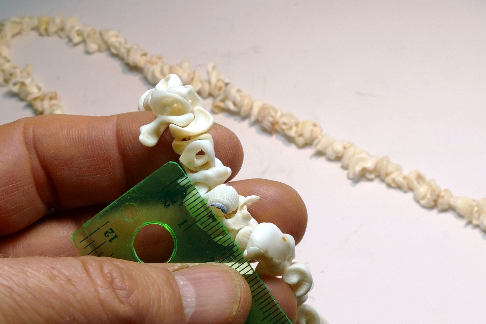 Cowrie Shell 17" Necklace Lei Jewelry Boho Surfer White ocean pacific hawaii