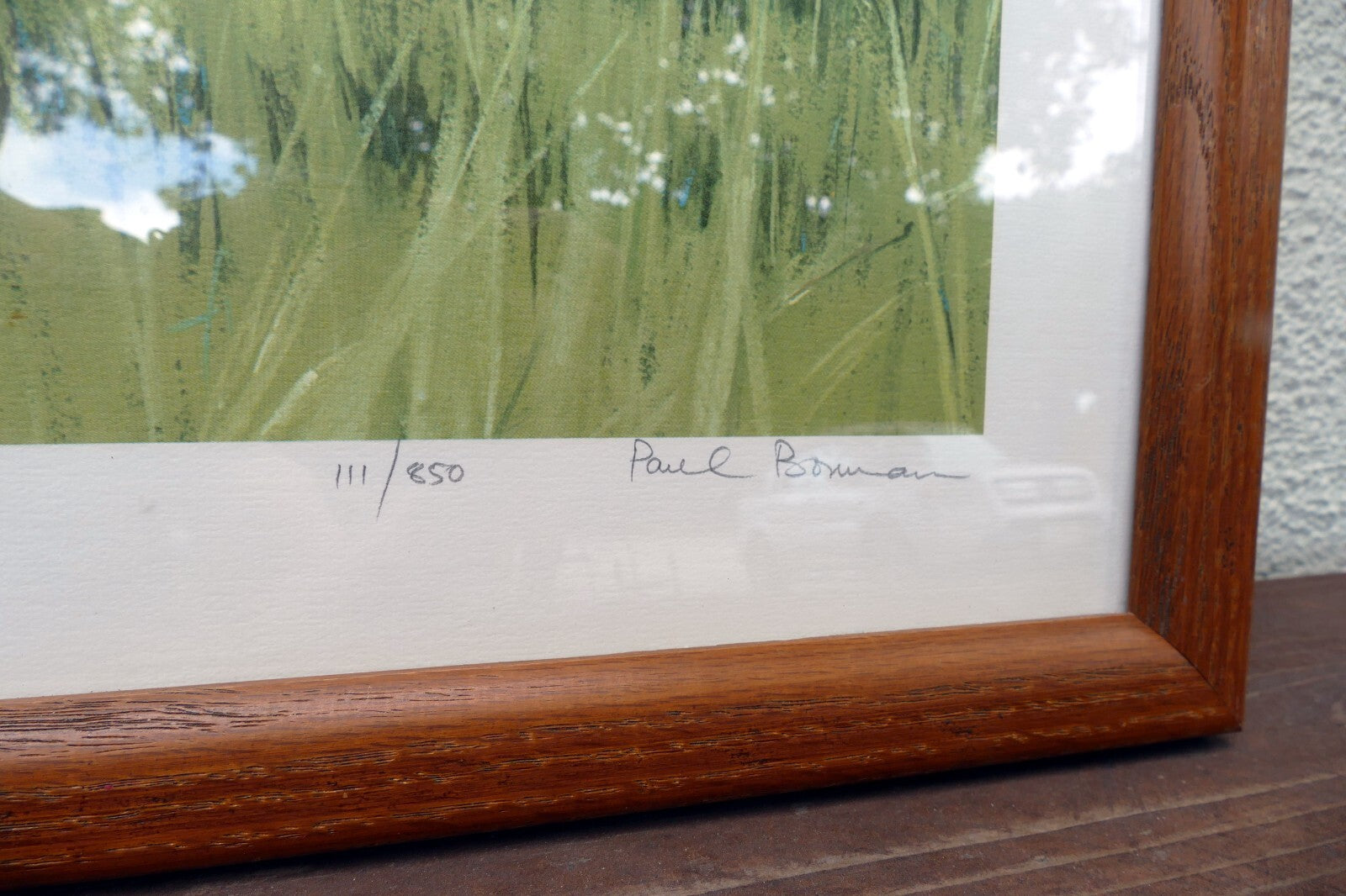Paul Bosman, Cheetah 111/850 print signed Sonskyn en Omweer in Rhodesie