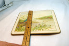 King Fisher Placemat  Mat 7X8" by M. Spencer Birds - vintage
