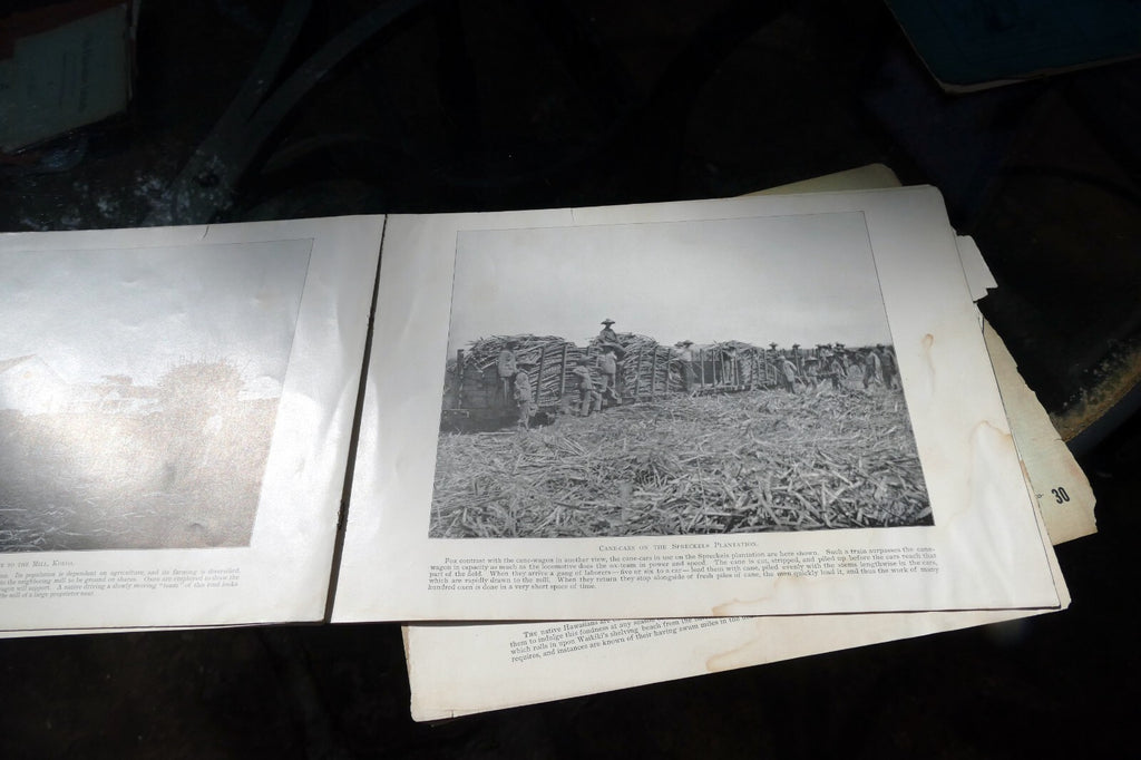 The Hawaiian Islands Paradise Of The Pacific Book Photographs Journal May 1898