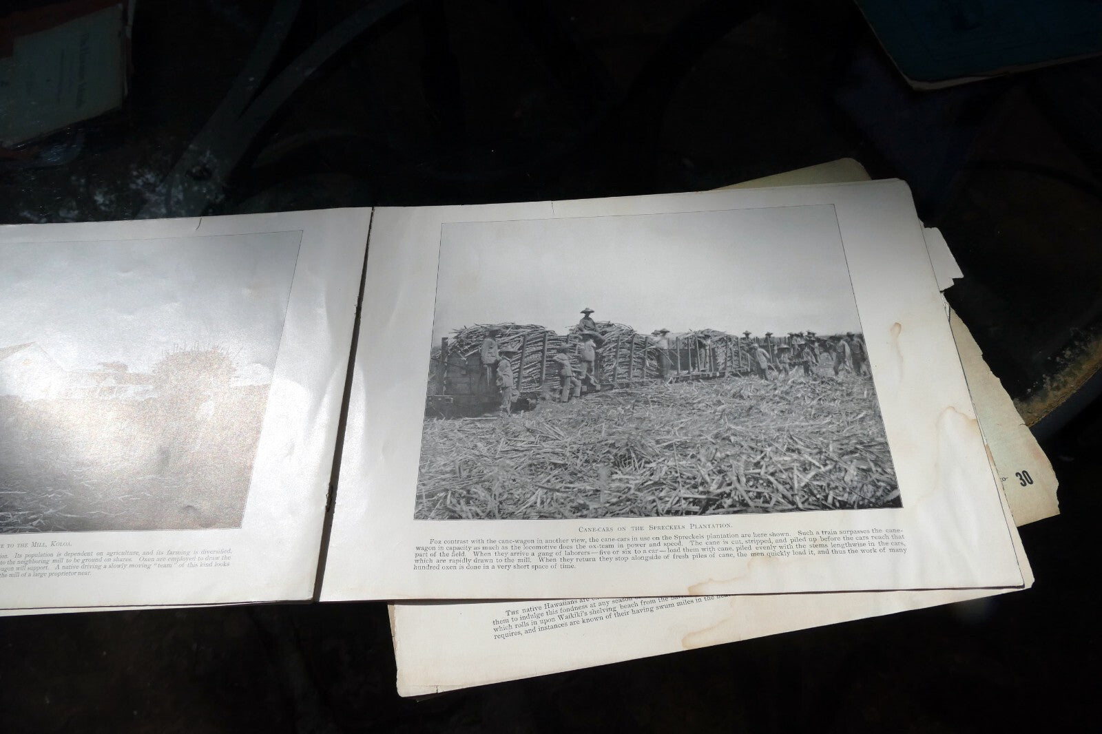 The Hawaiian Islands Paradise Of The Pacific Book Photographs Journal May 1898