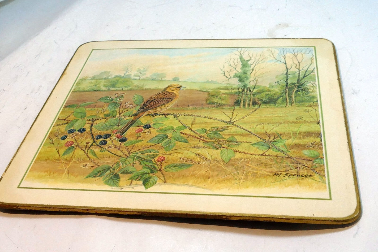 Bird placemat mat 7x8" by m. spencer birds   vintage