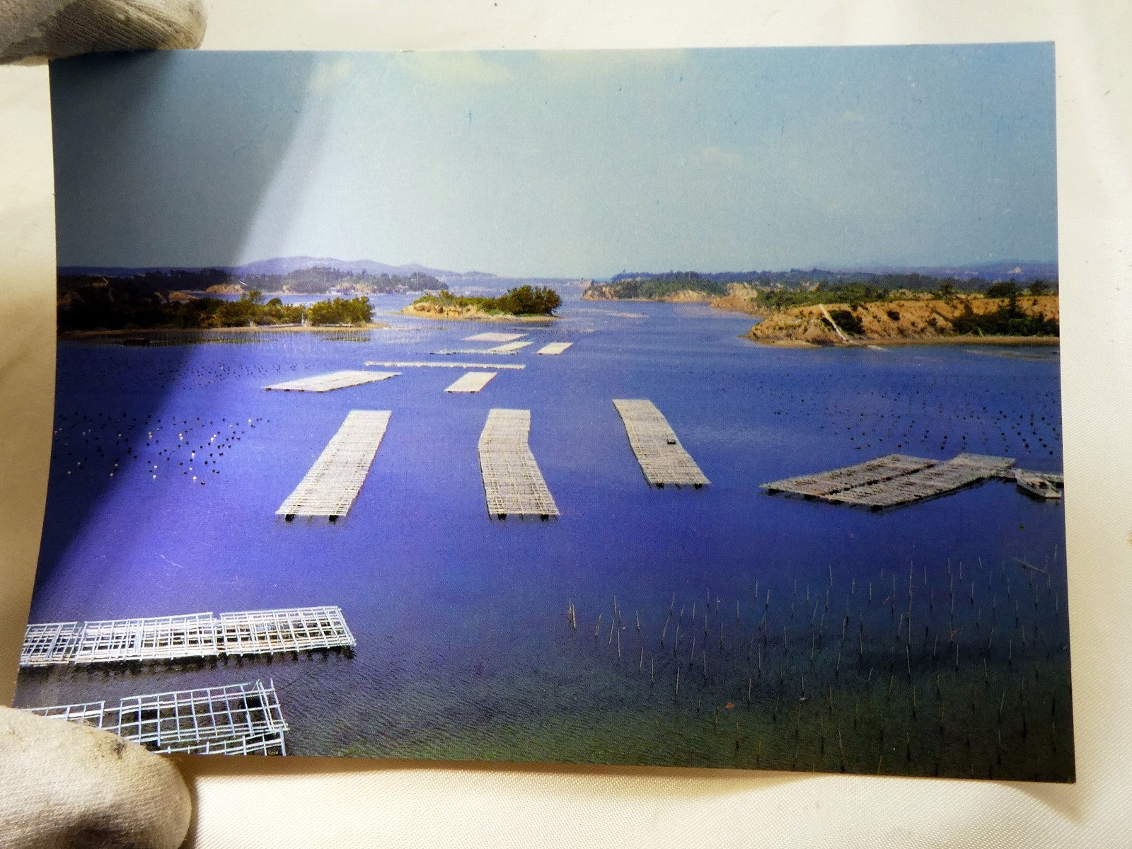 Japan Pearl Oyster Beds at Ago bay Kashikojima  Postcard 6X4" vintage 1950's