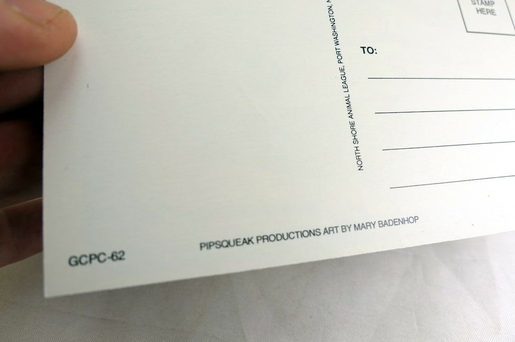 Lets Party Postcard Animal Shelter North Shore League Dog Basset Hound 1980'