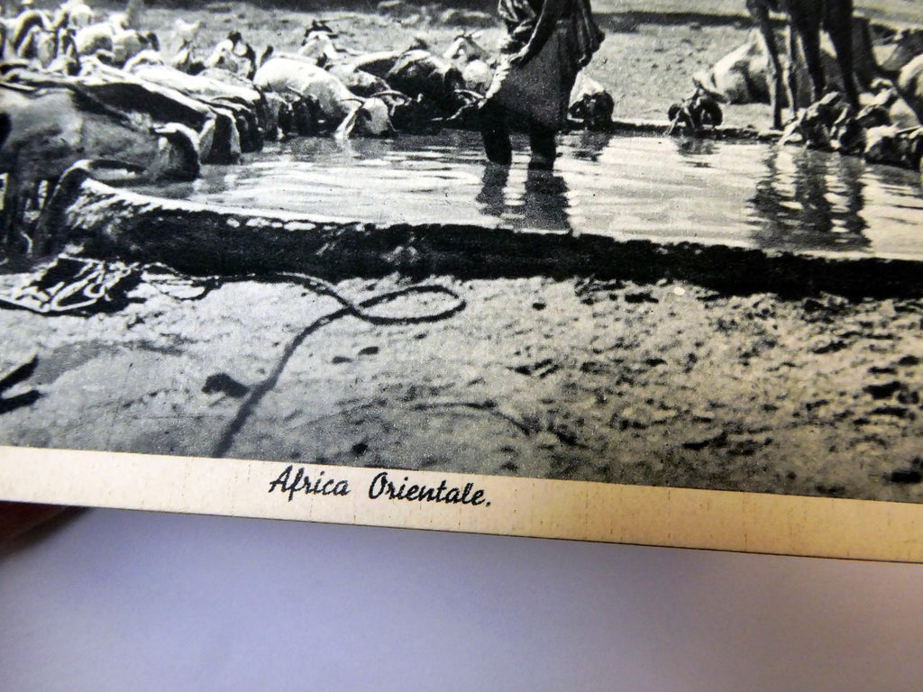 Post Card Cartolina Postale Africa Orientale unused Unposted 1900's