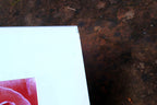 Rose photo art by Christian Sarramon framed with glass 24X10" large collage