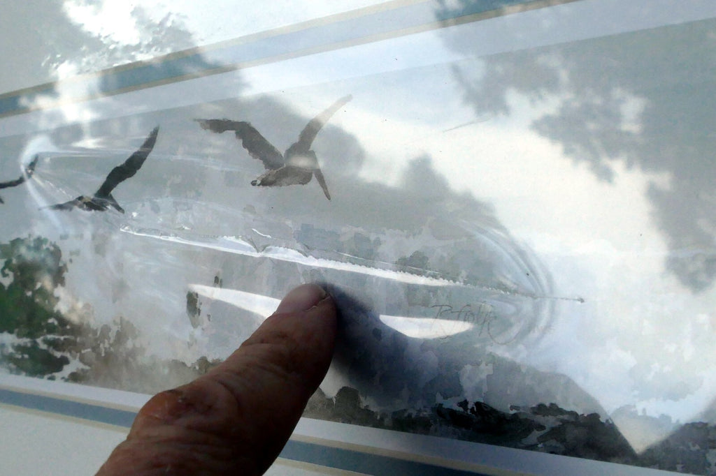 3X18" shorebirds pelicans flying Print R. folk NWS