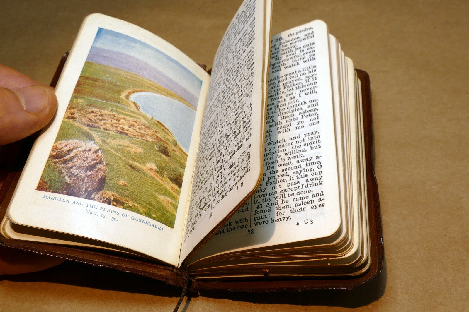 Pocket Oxford New Testament Bible Printed in London 1900's w/ color pictures