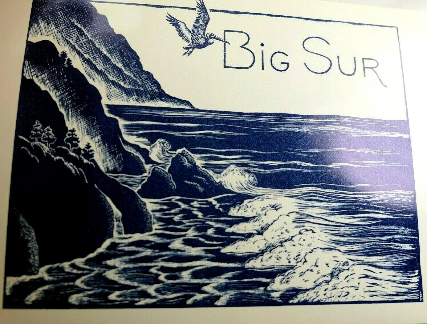 Big sur beach monterey bay california usa postcard vintage 1991 w/ pelican ocean