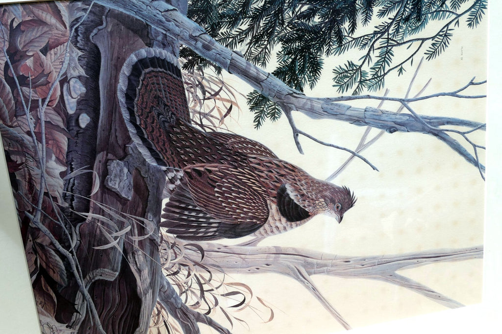 John A Ruthven Signed Numbered Limited Edition Print "Ruffed Grouse" 18X24