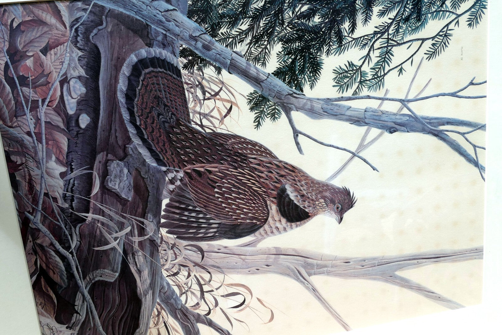 John A Ruthven Signed Numbered Limited Edition Print "Ruffed Grouse" 18X24