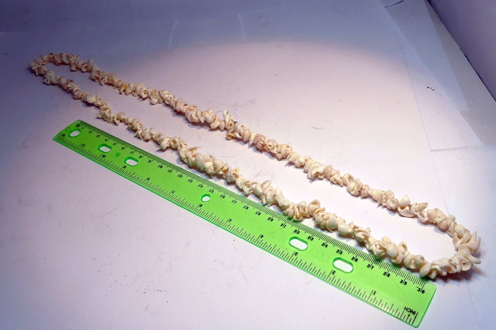 Cowrie Shell 17" Necklace Lei Jewelry Boho Surfer White ocean pacific hawaii