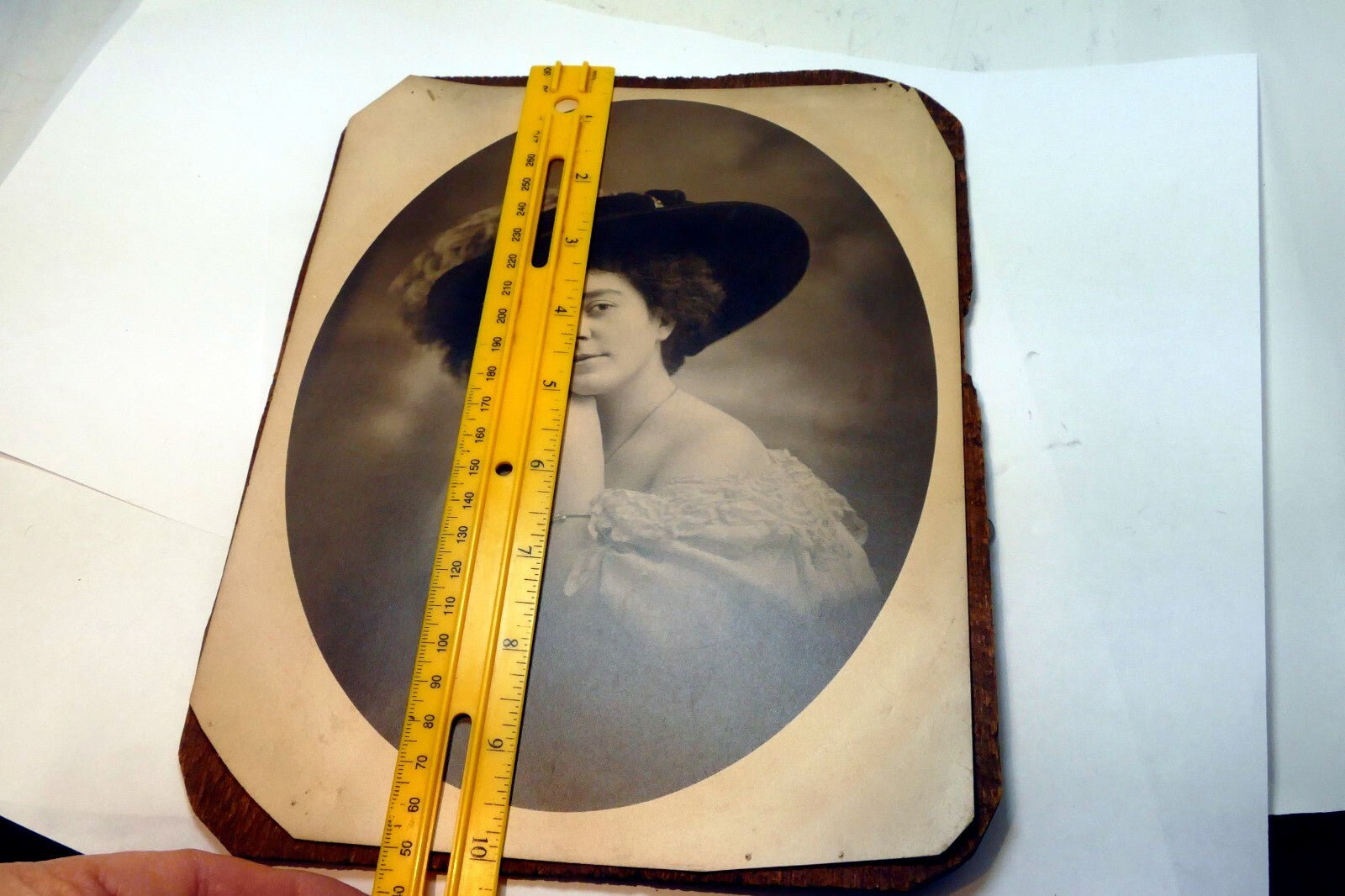ANTIQUE PHOTO PICTURE San Francisco USA Woman Lady Derby Feather Hat 8X10" 1880'
