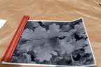 Tree Leaf  11X14" Black & white Picture Photo San Francisco USA
