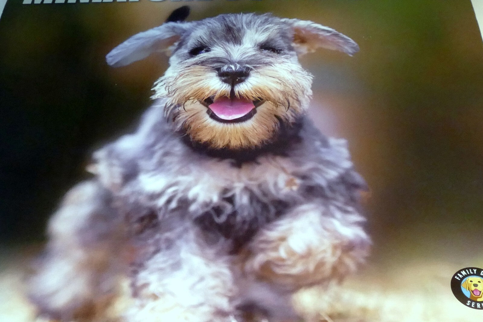 2022 miniature calendar puppy dog pics red ember family series