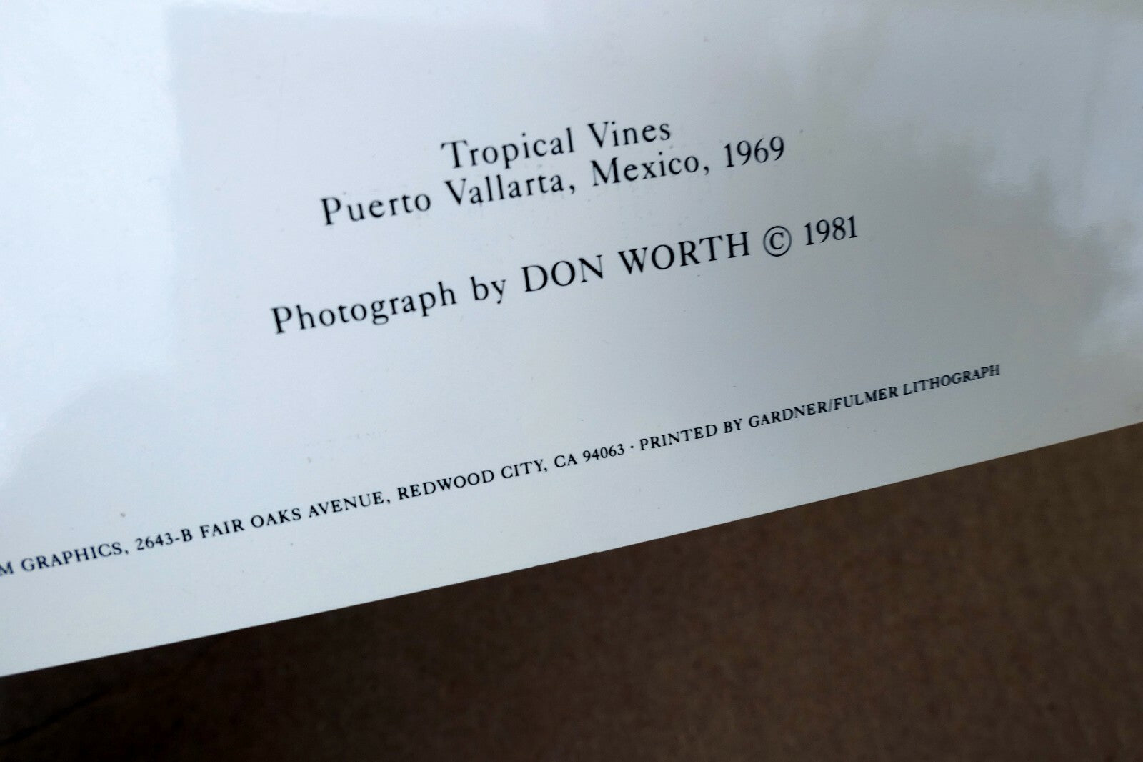 Tropical Vines Puerto Vallarta Mexico Photograph Don Worth D-004 Greeting Card